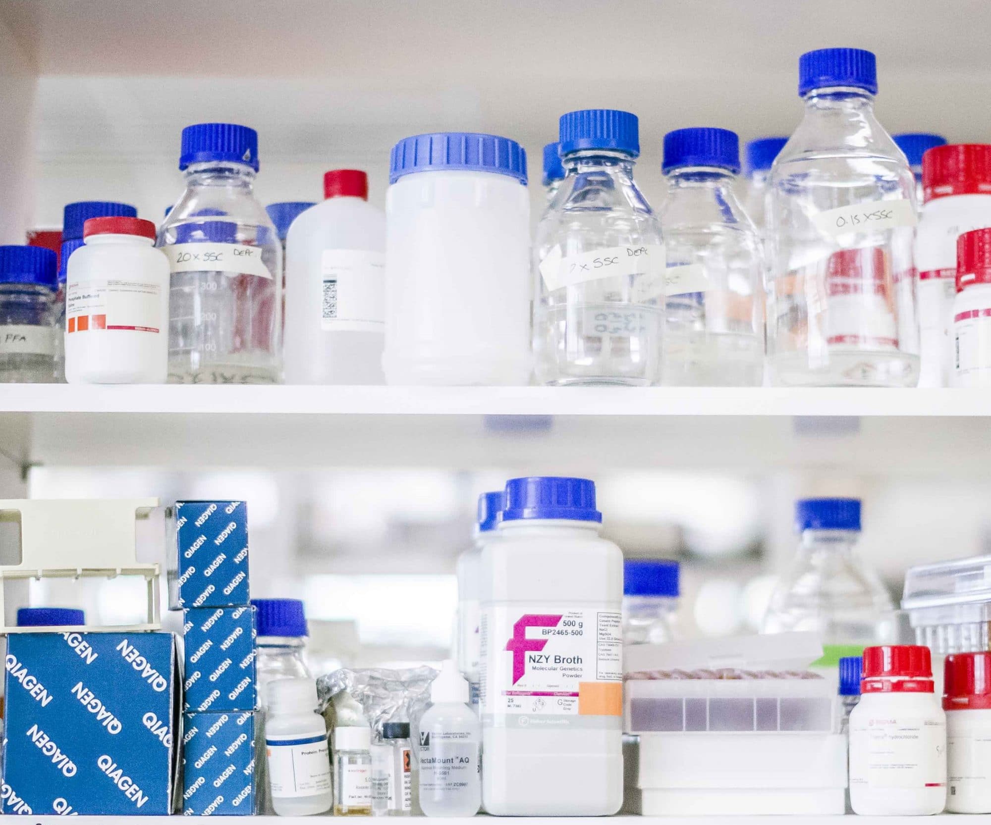 Shelves in a laboratory with lots of bottles and jars stored on them