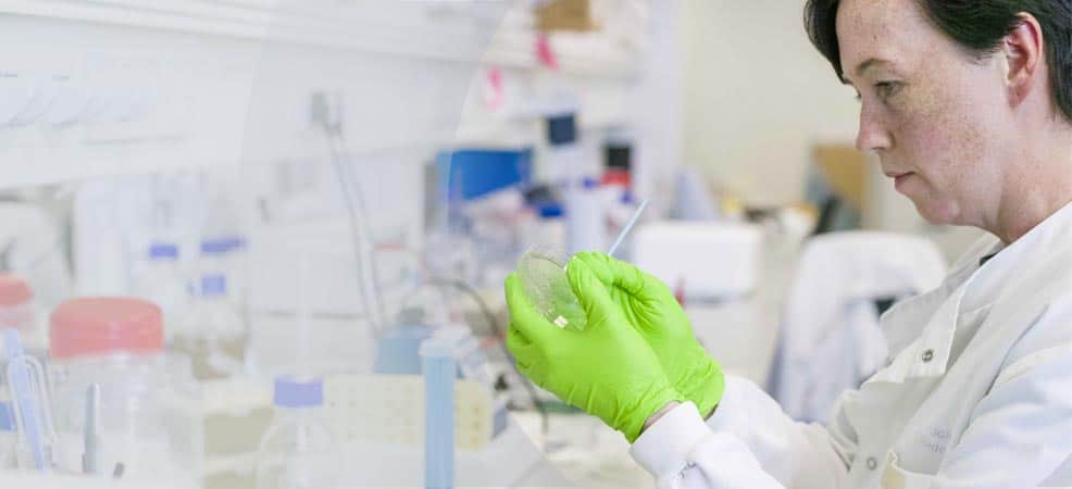 A close up of gloved hands holding an item in a research lab. The gloves are bright green!