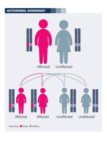 An image showing the autosomal dominant inheritance pattern which is described in the text