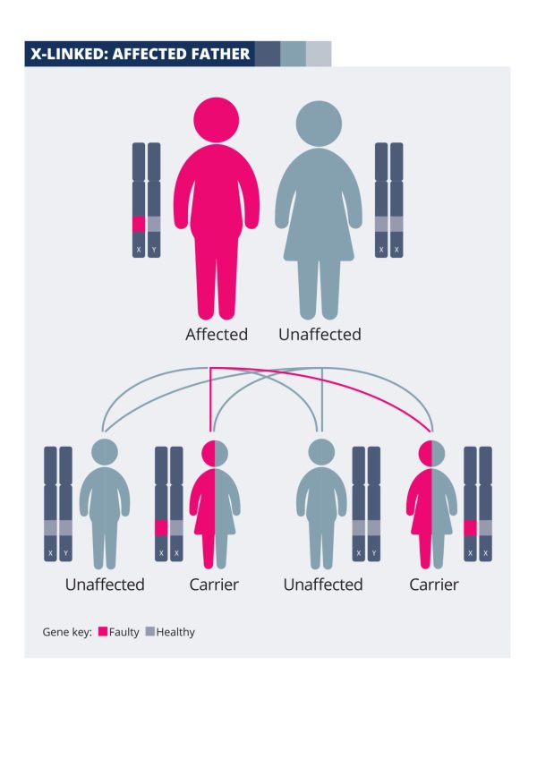 x-linked inheritance - Retina UK