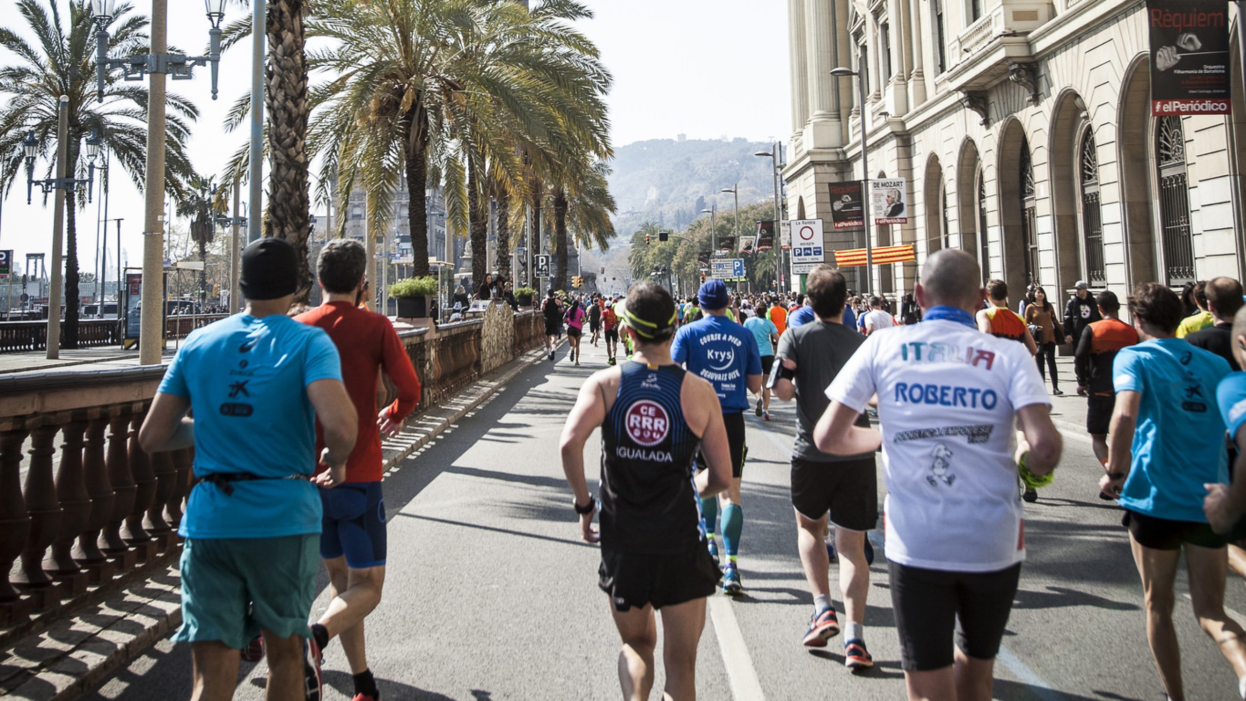 Runners in the Barcelona half marathon with a row of palm trees to the left of the picture