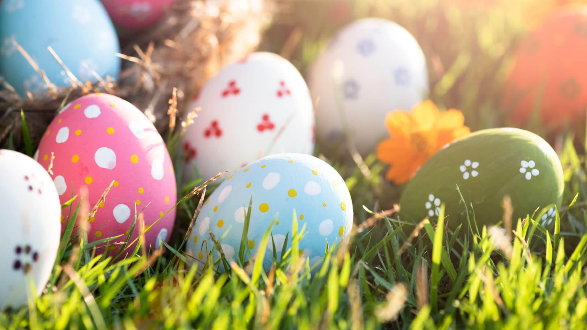 Some multi-coloured Easter eggs.