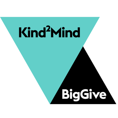 Two triangles, one in light blue/green pointing downwards with the words 'Kind2Mind' and the other in black, facing upwards with the words 'BigGive'