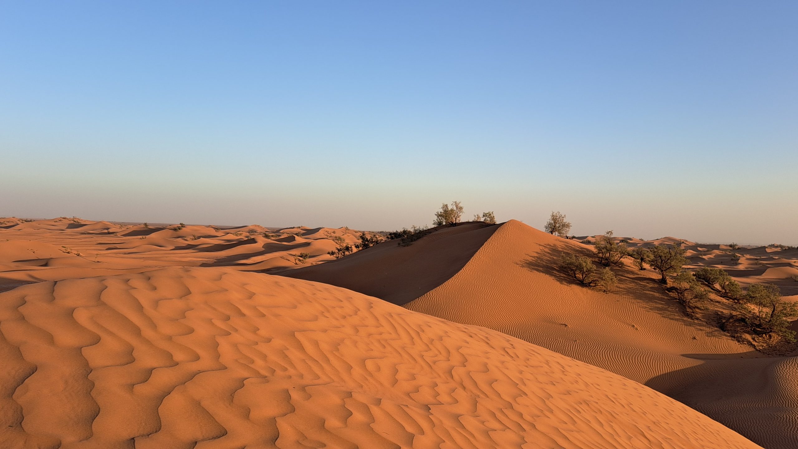 A photo of the Sahara skyline