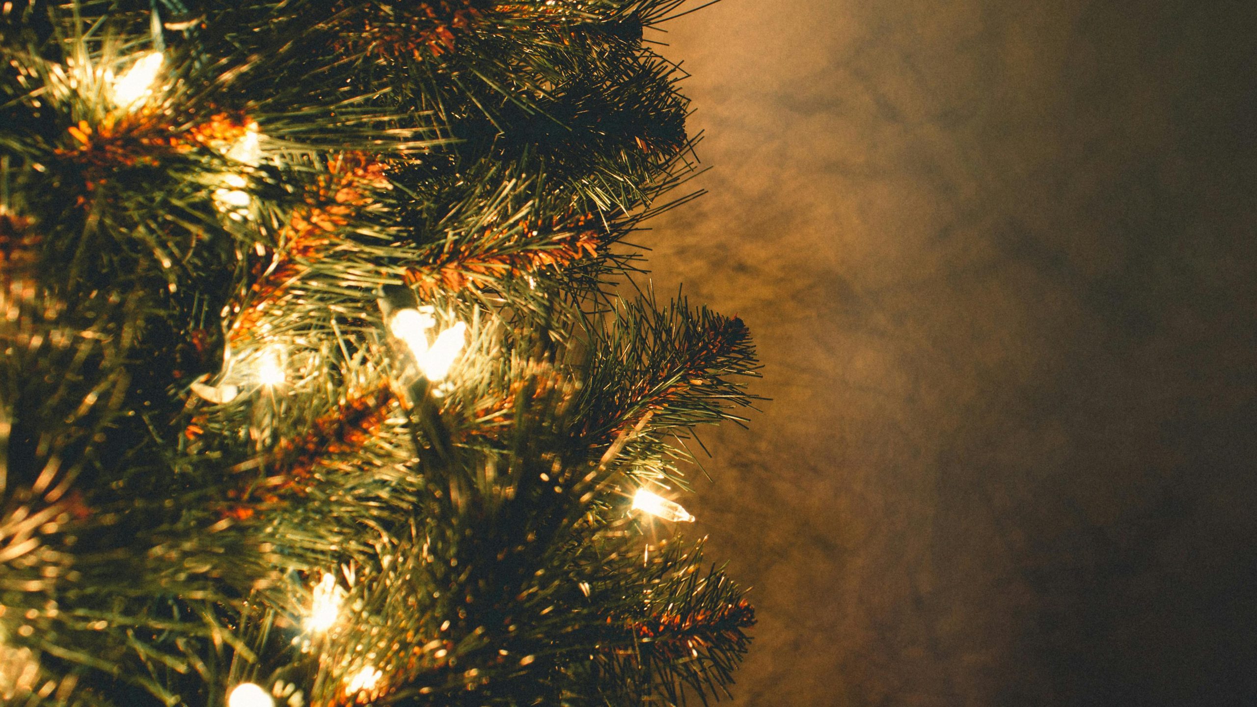 A photo of some glistening Christmas tree lights.