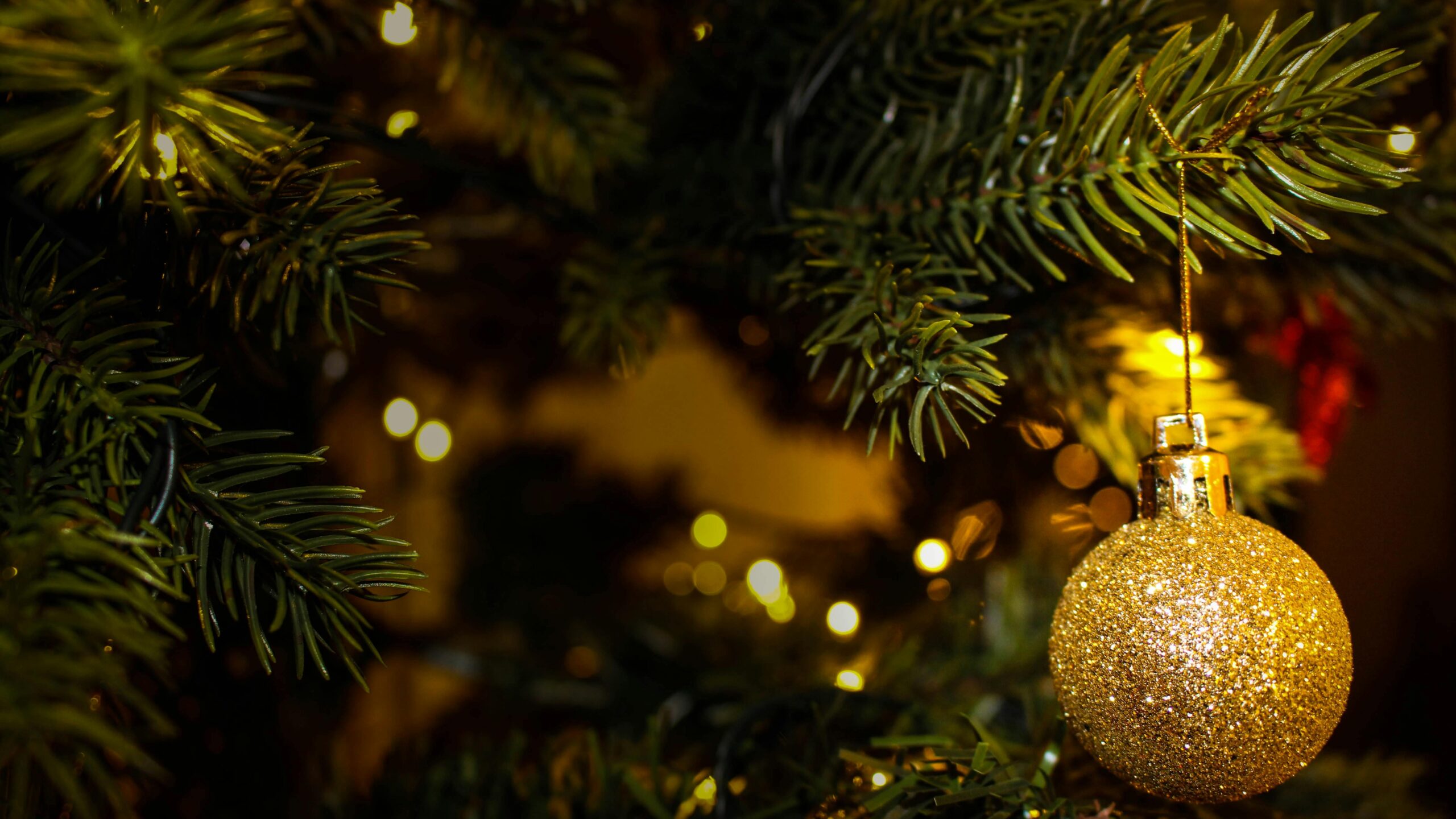 A Christmas tree with gold baubles.